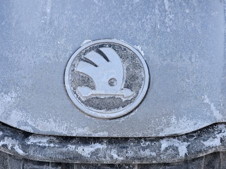 Фото в бортжурнале Skoda Kodiaq (2G)
