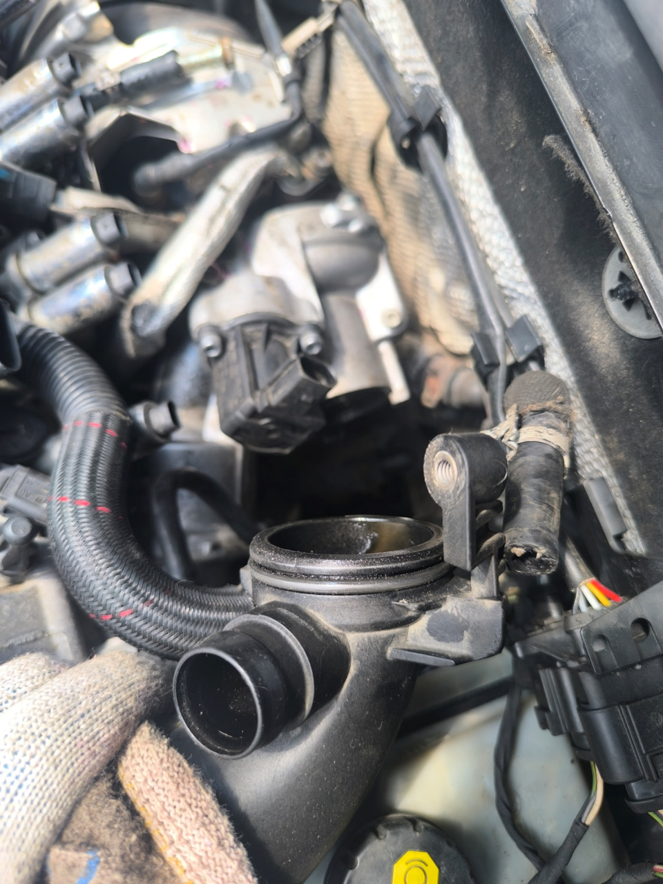 Фото в бортжурнале Skoda Octavia Combi A7 Mk3