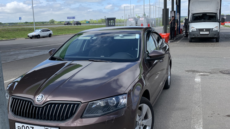 Skoda Octavia Шустрый поджопник