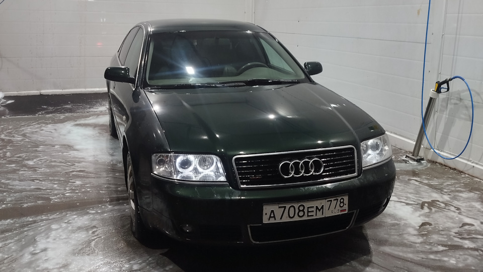 Audi A6 Жабка