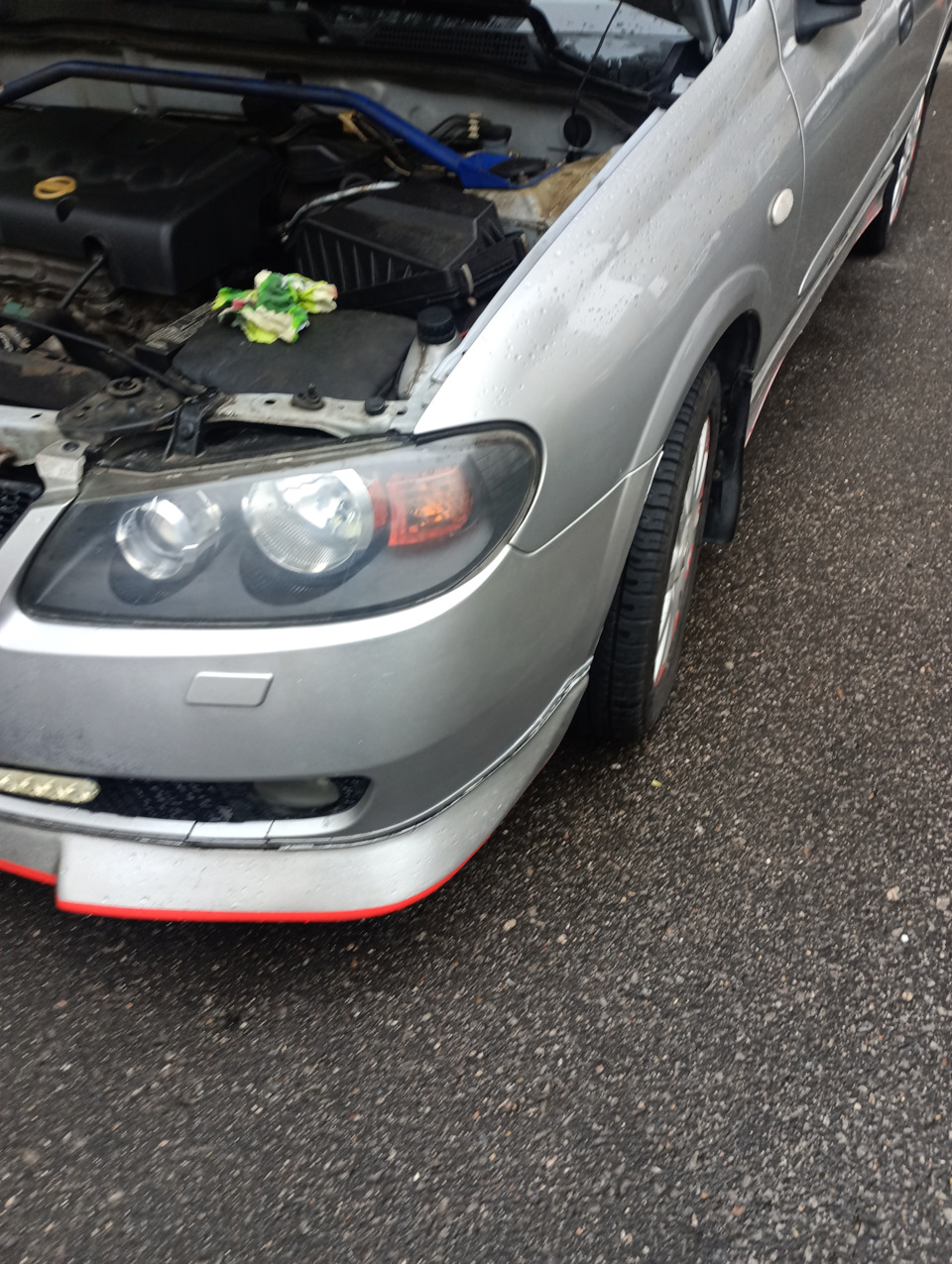 Фото в бортжурнале Nissan Almera II (N16)