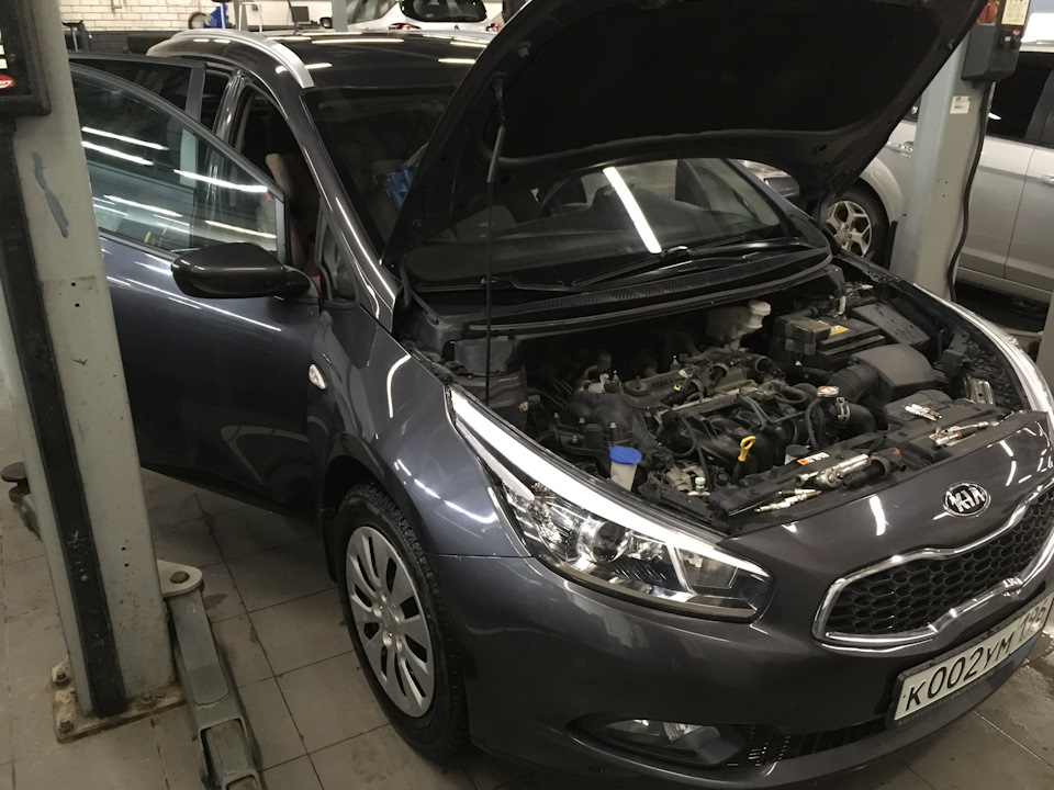 Фото в бортжурнале KIA Ceed SW (2G)