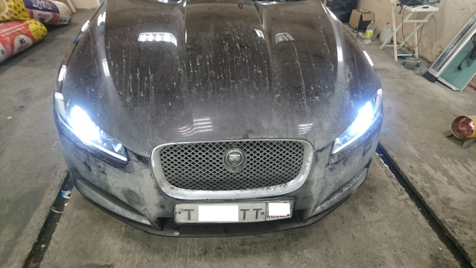 Чумазая киса) — Jaguar XF (1G)