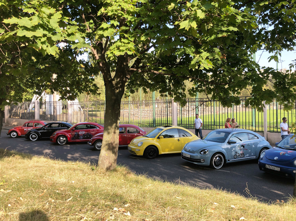 Фото в бортжурнале Volkswagen Beetle (A5)