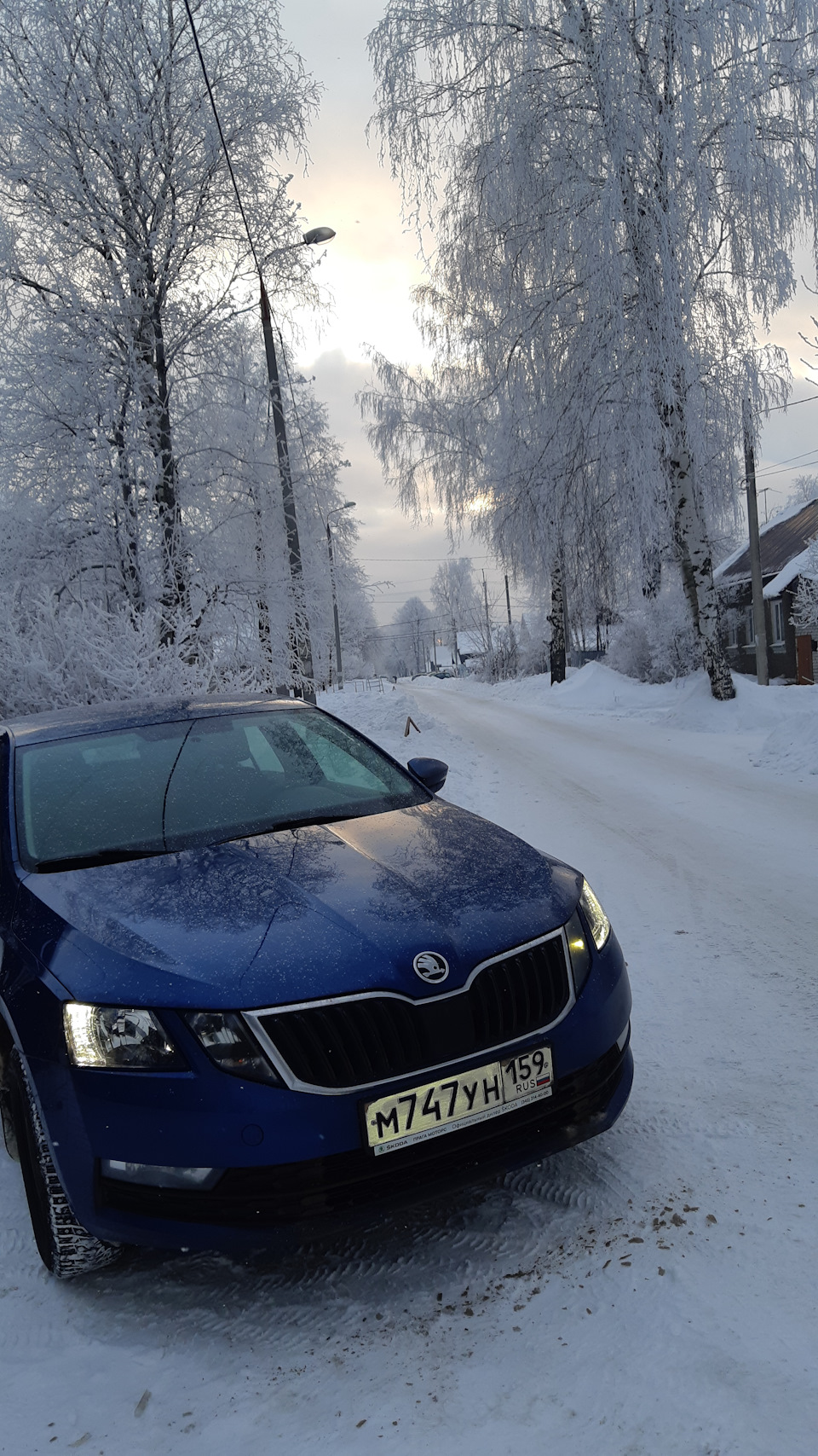 Фото в бортжурнале Skoda Octavia A7 Mk3