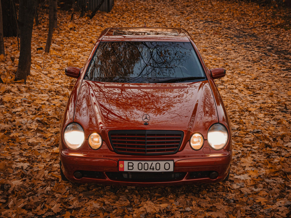 Фото в бортжурнале Mercedes-Benz E-Class (W210)