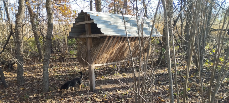Photo from the logbook Lada 21043