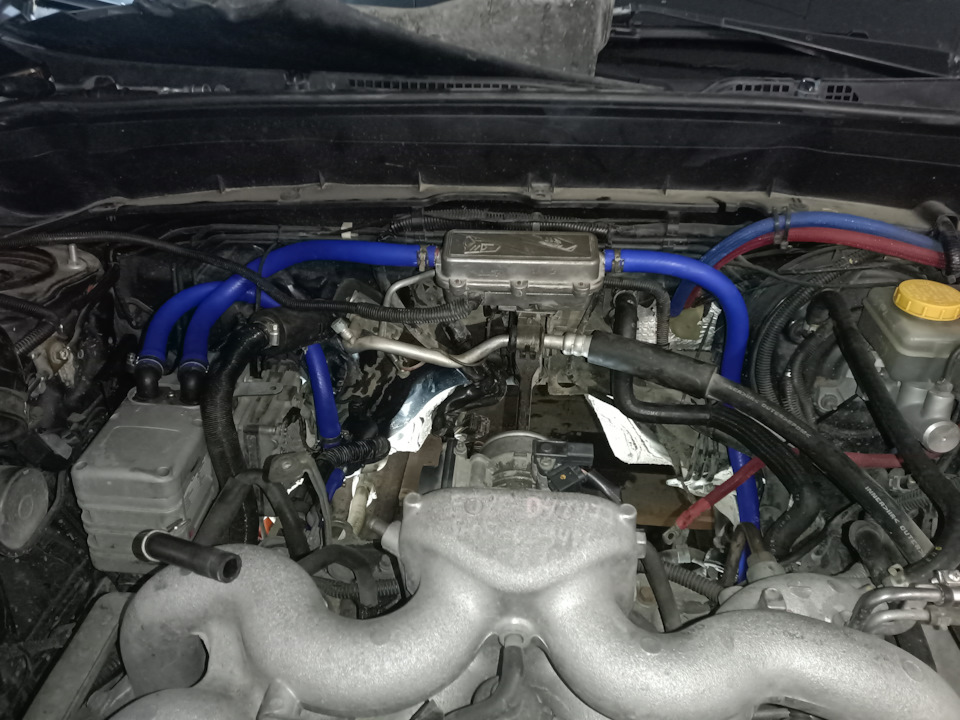 Фото в бортжурнале Subaru Forester (SH)