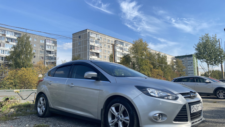 Ford Focus Hatchback Pups