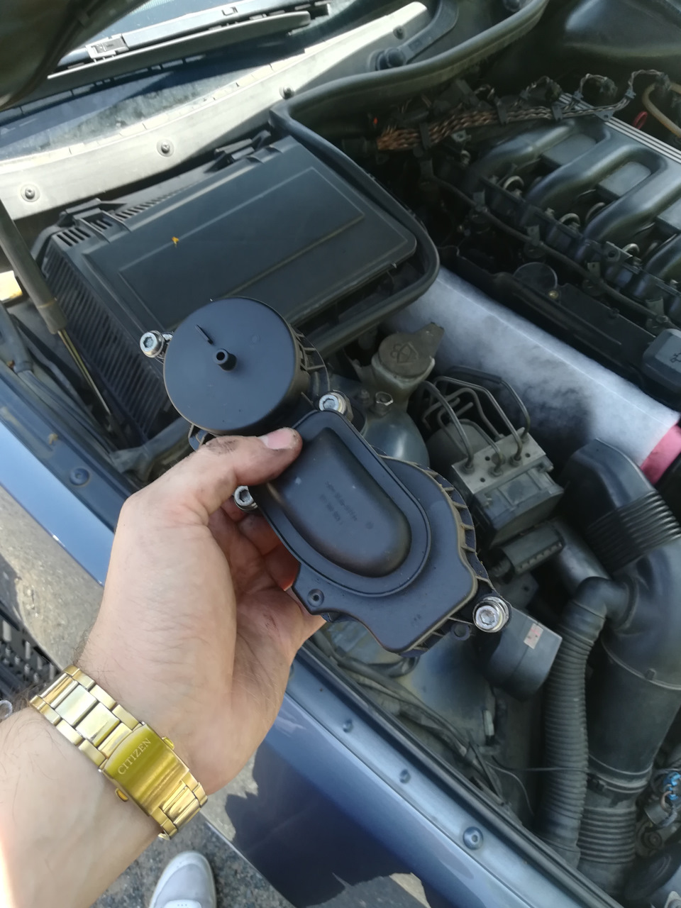 Фото в бортжурнале BMW 5 series (E39)