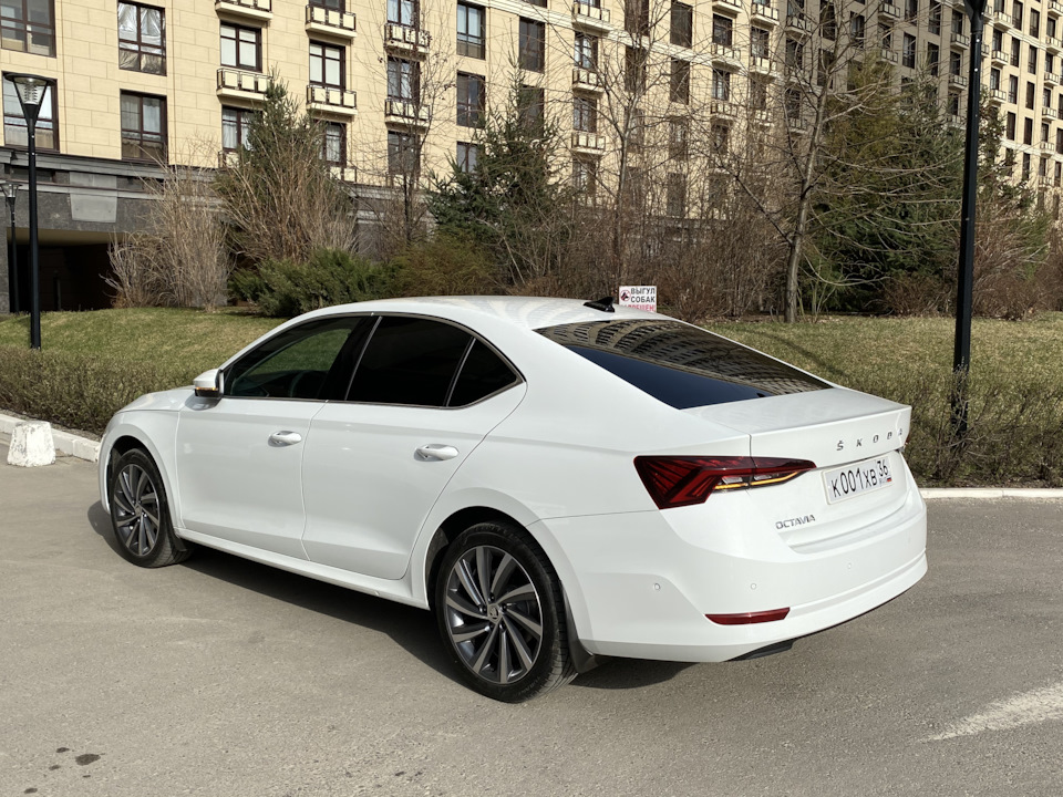 Фото в бортжурнале Skoda Octavia A8 Mk4