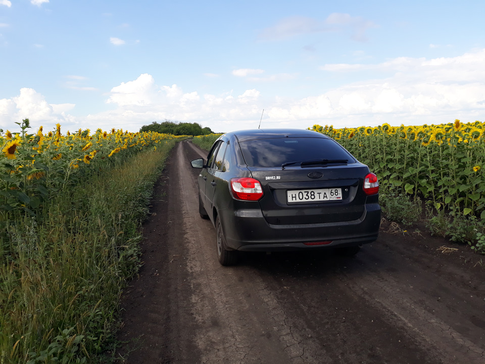 Фото в бортжурнале Lada Гранта Лифтбек (1G)