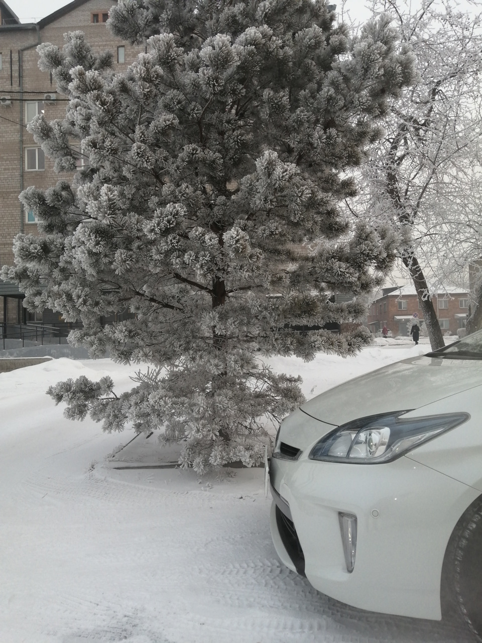 Фото в бортжурнале Toyota Prius Plug-in Hybrid (1G)