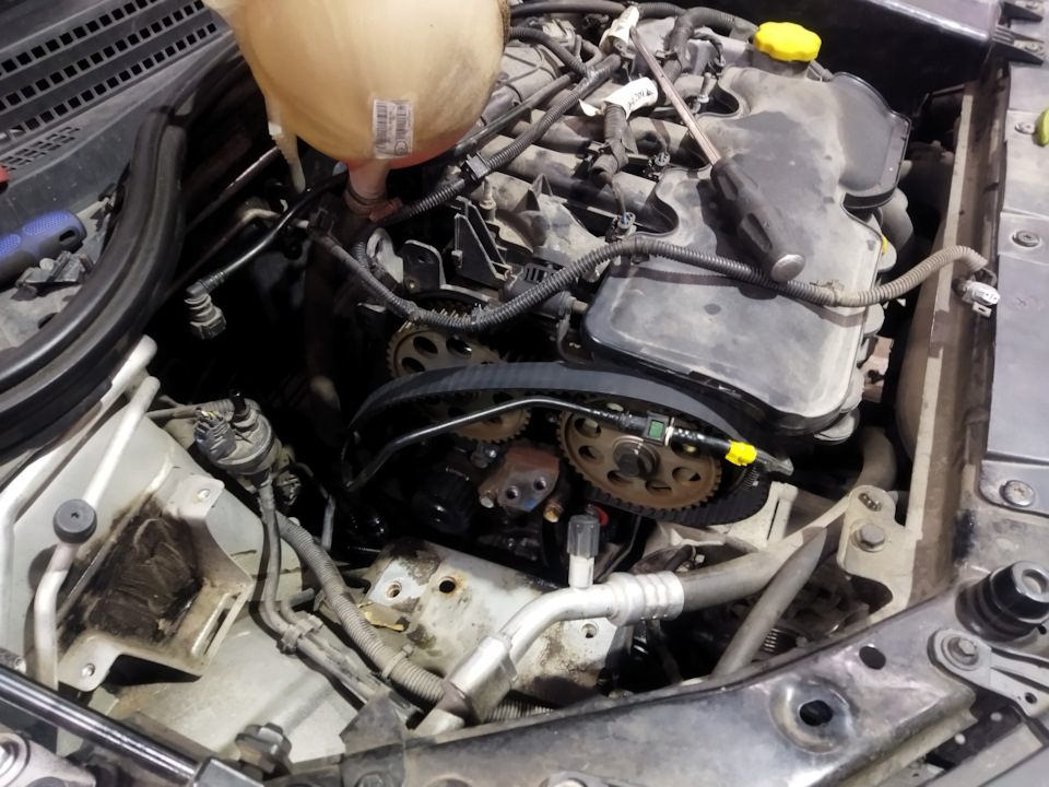 Фото в бортжурнале Lada Vesta SW Cross (1G)