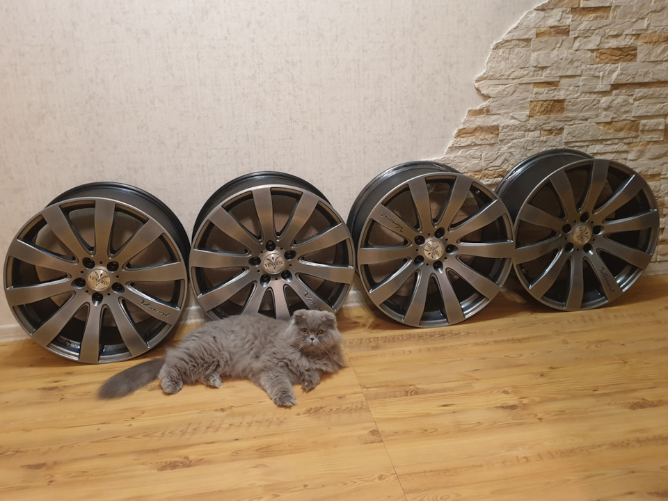 То ли кот в цвет дисков, то ли диски в цвет кота, решайте сами…😂 — Mazda CX-5 (2G)