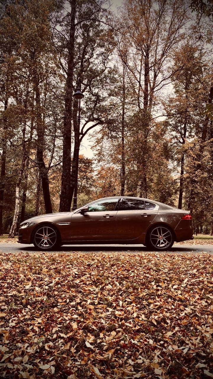 Фото в бортжурнале Jaguar XE