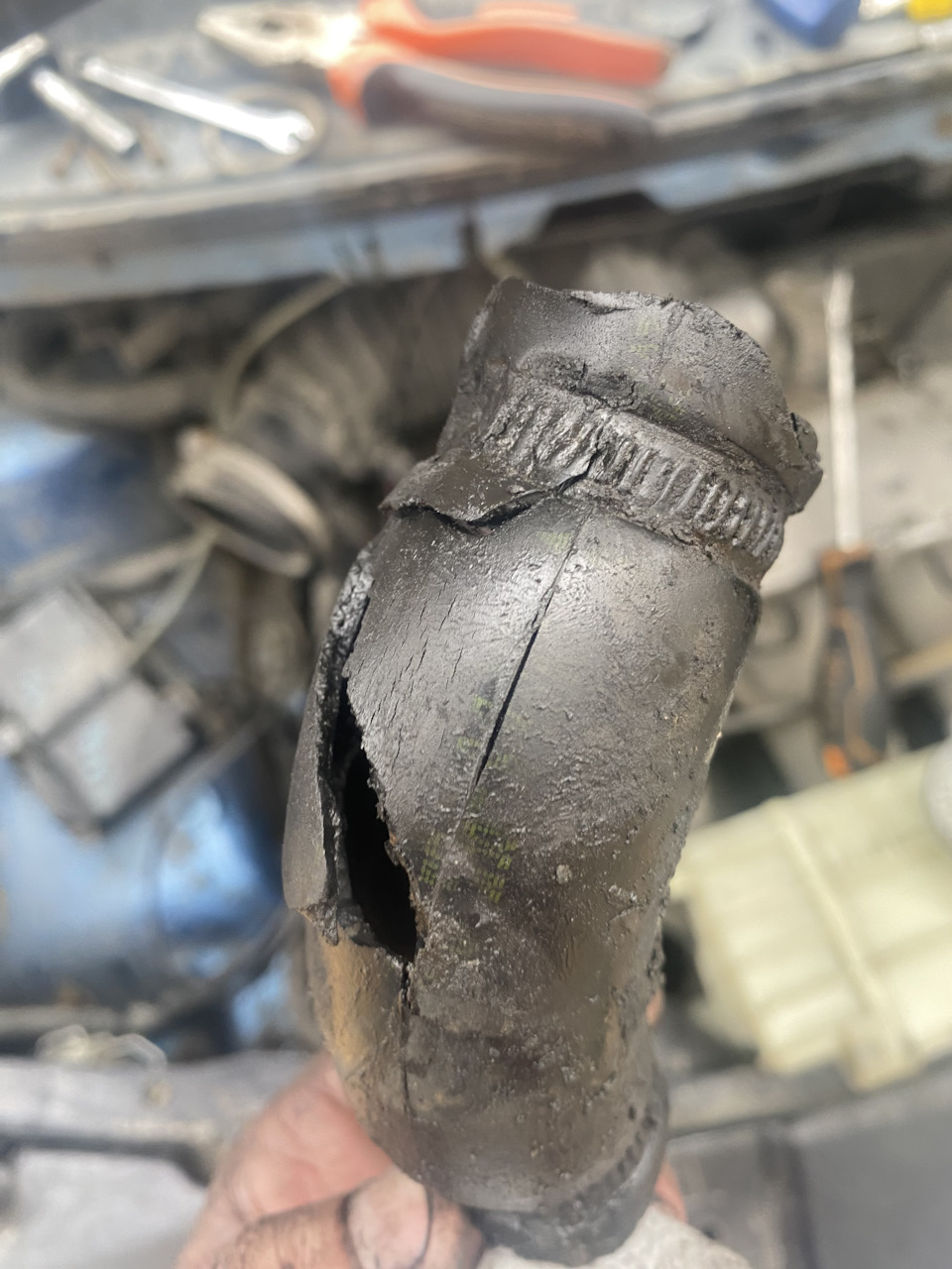 Фото в бортжурнале Mercedes-Benz Vito (1G)
