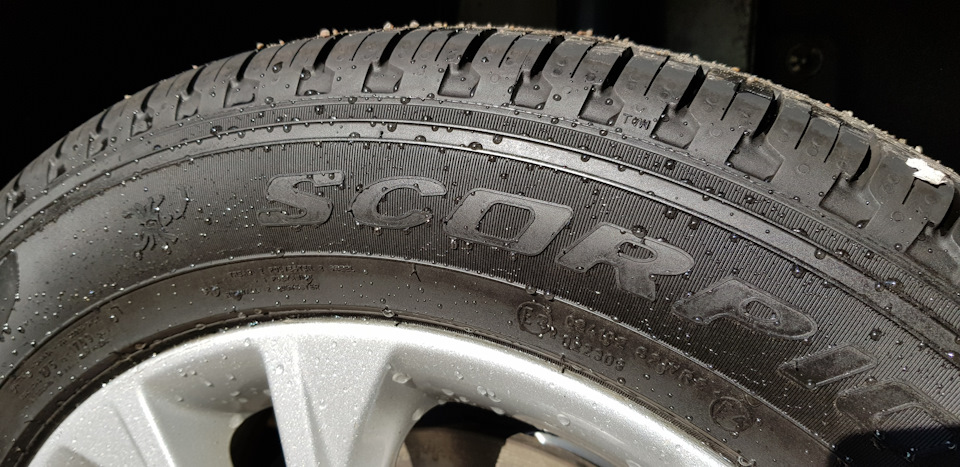Сразу после мойки — Ford Kuga (2G)