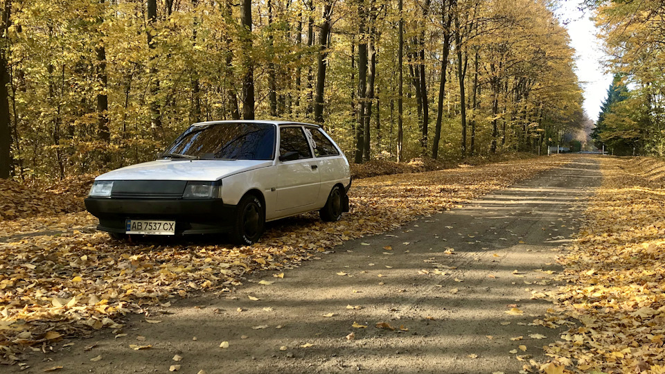 ЗАЗ 1102 Donkey