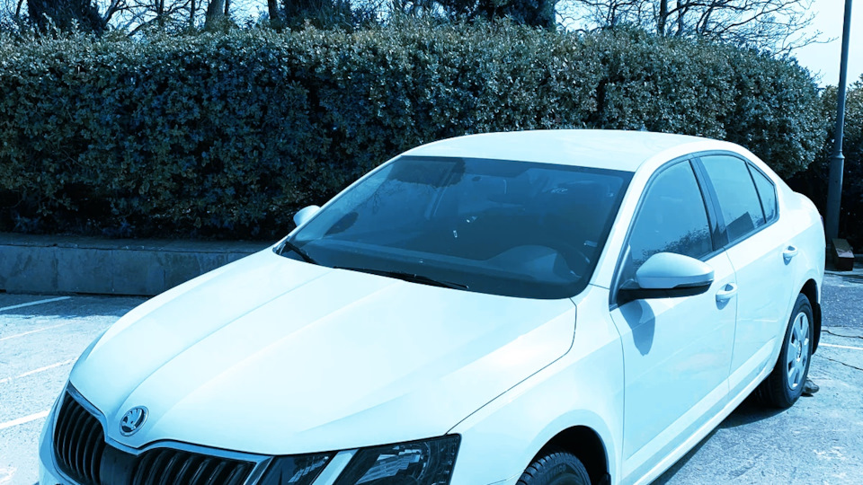Skoda Octavia Белка