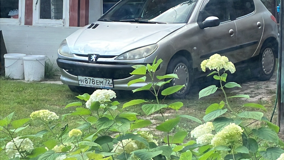 Peugeot 206 Мелкий