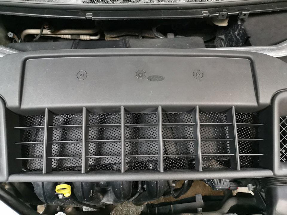 Саморезы не видно — Ford Focus Sedan II