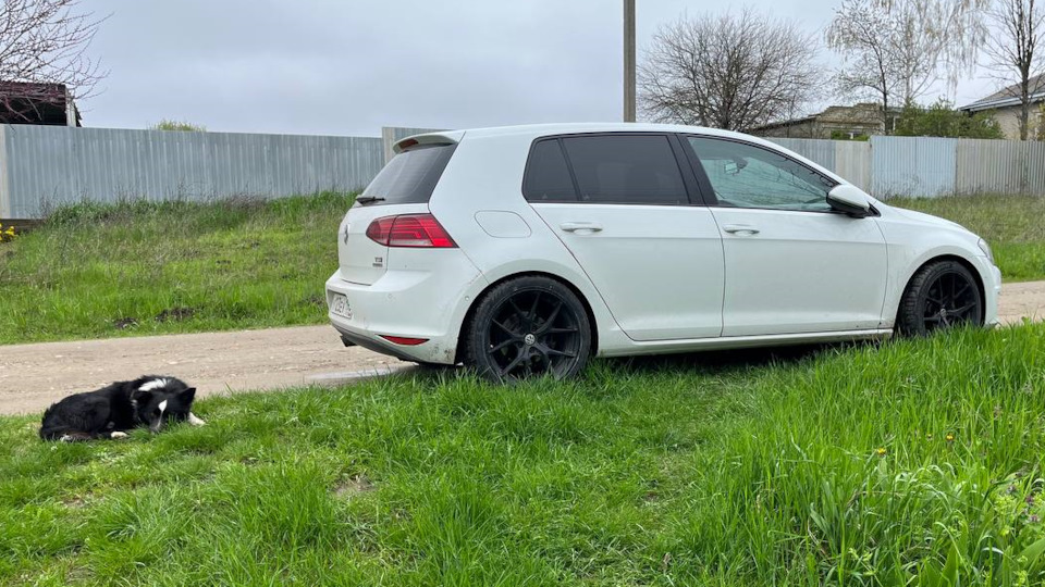 Volkswagen Golf MK7123