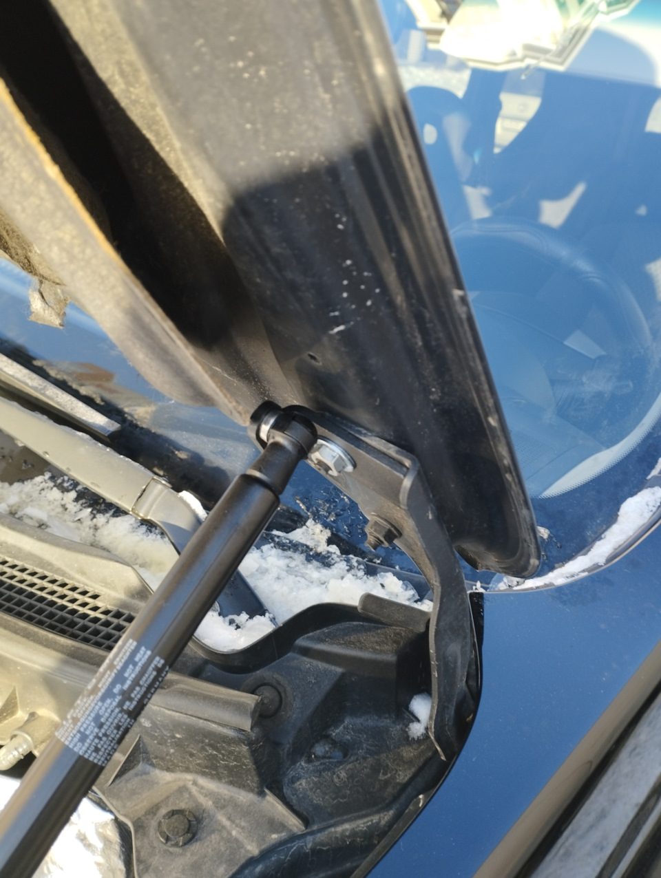 Фото в бортжурнале Nissan X-Trail II (t31)