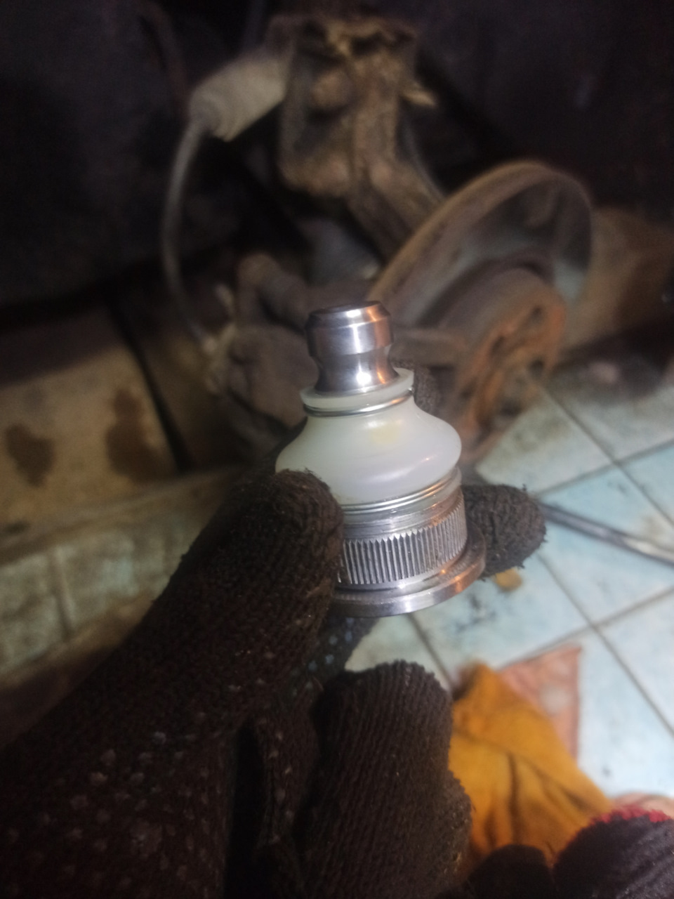 Фото в бортжурнале Renault Modus