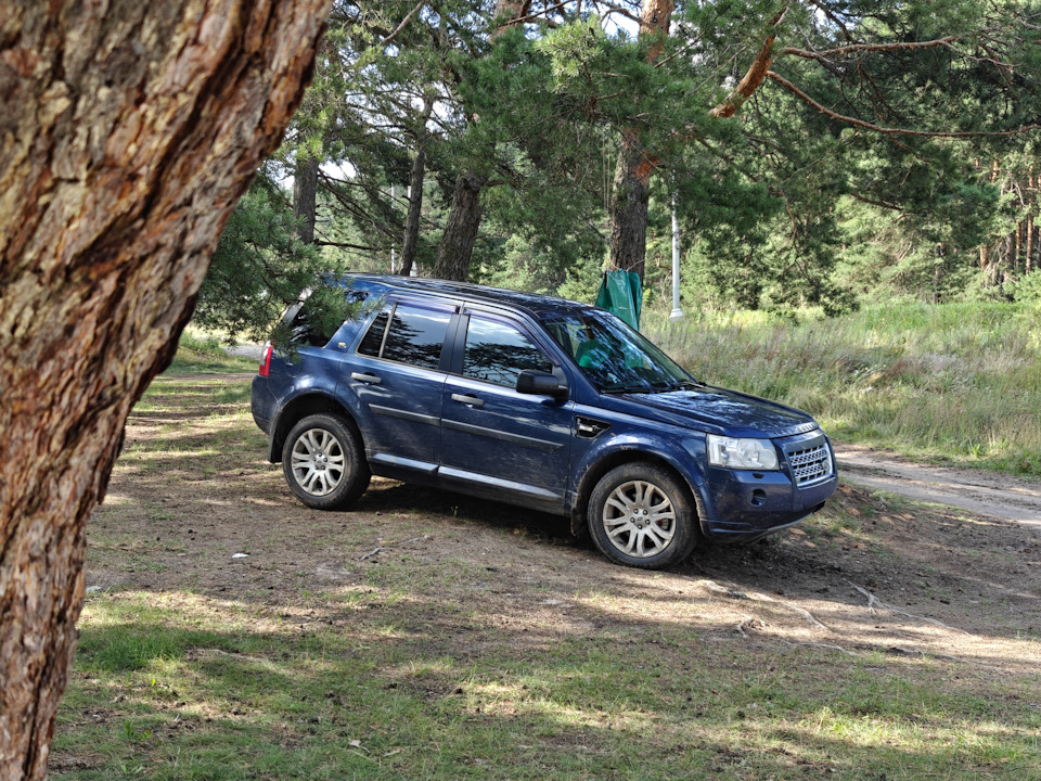 В естественной среде обитания — Land Rover Freelander 2 (L359)