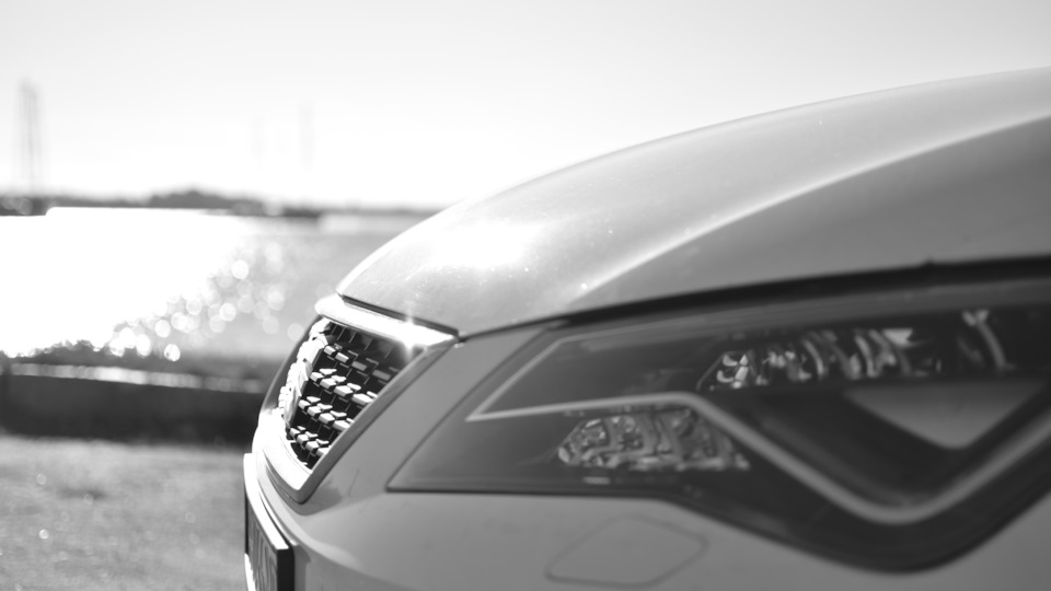 SEAT Leon КокосинКа