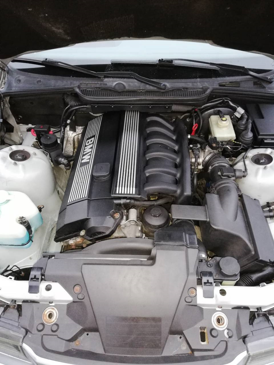 Фото в бортжурнале BMW 3 series (E36)