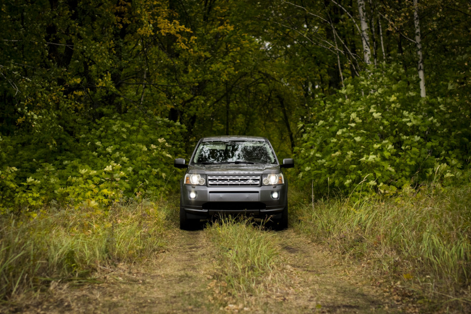 Фото в бортжурнале Land Rover Freelander 2 (L359)