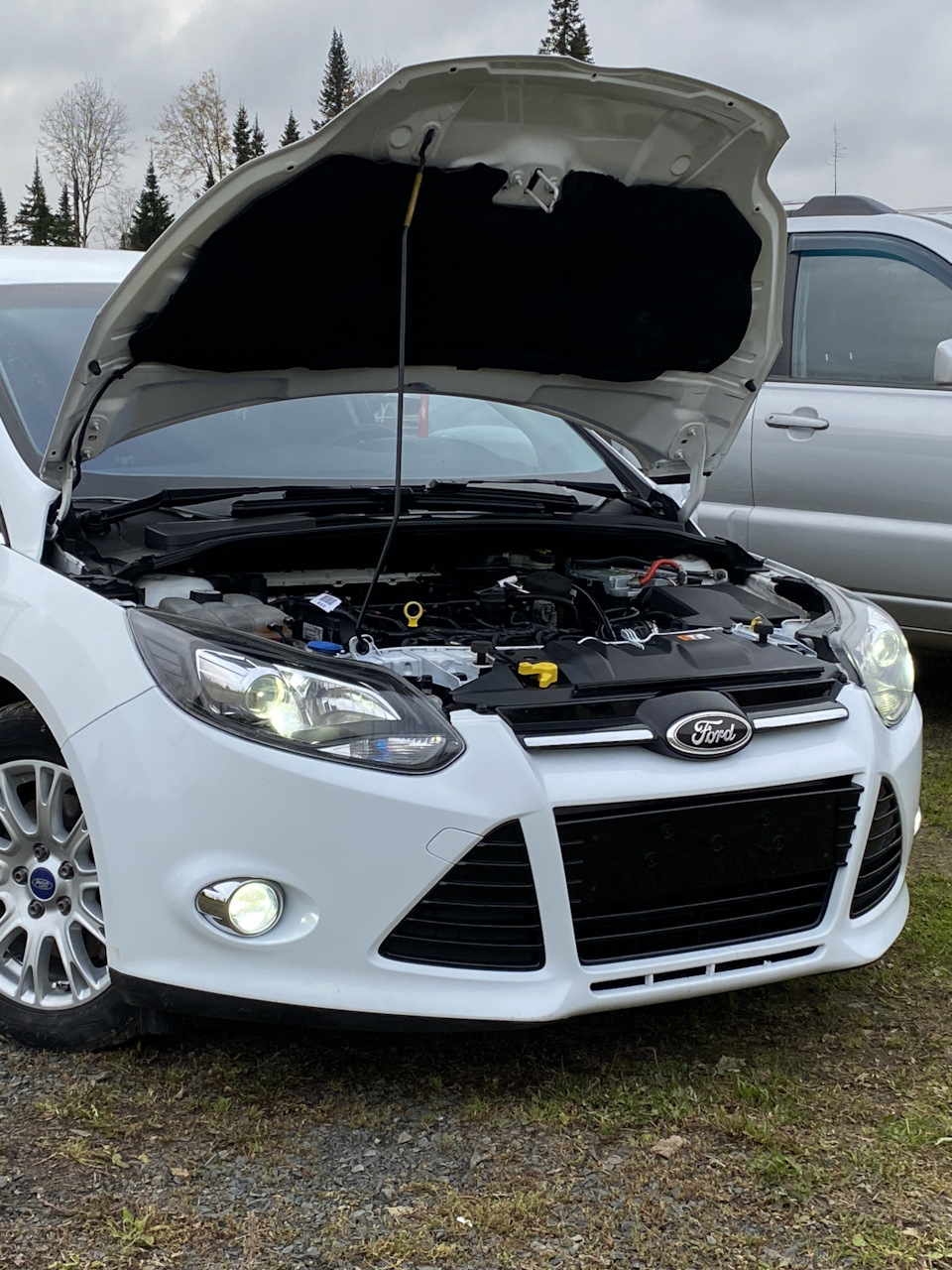 Фото в бортжурнале Ford Focus Hatchback III