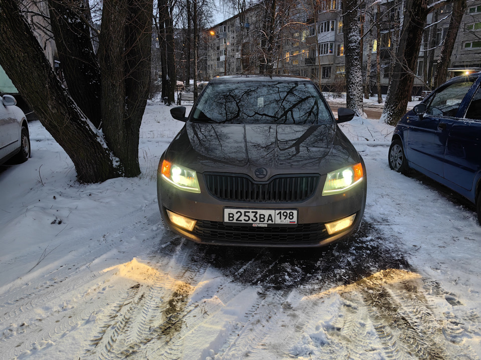 Фото в бортжурнале Skoda Octavia A7 Mk3