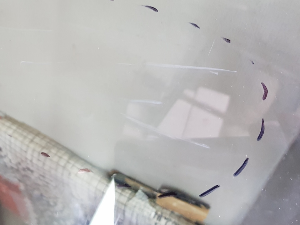 Photo from the logbook ZAZ 965