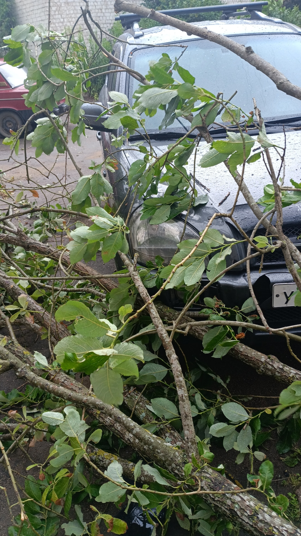 Фото в бортжурнале Hyundai Tucson (JM)