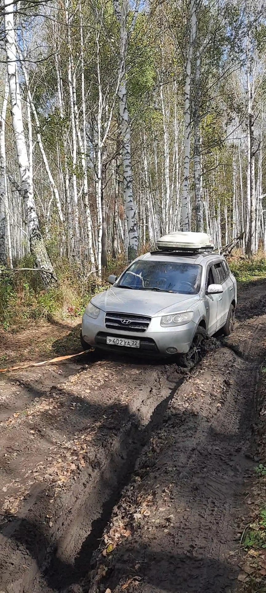 Фото в бортжурнале Nissan Pathfinder (3G)
