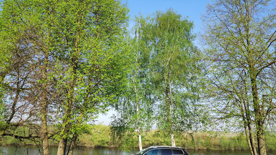 Volkswagen Passat Variant Сарай 2.0TDI