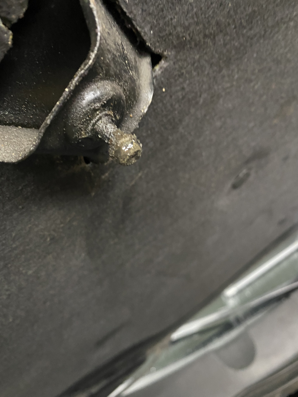 Фото в бортжурнале Volkswagen Passat B6
