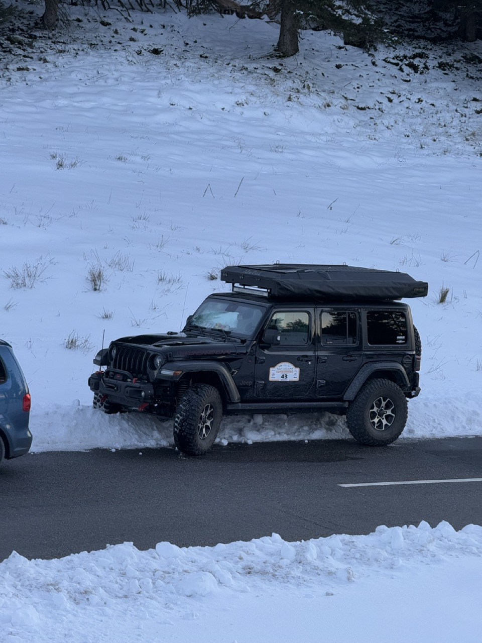 не дракон, но крутой снегопроходец — Renault Austral