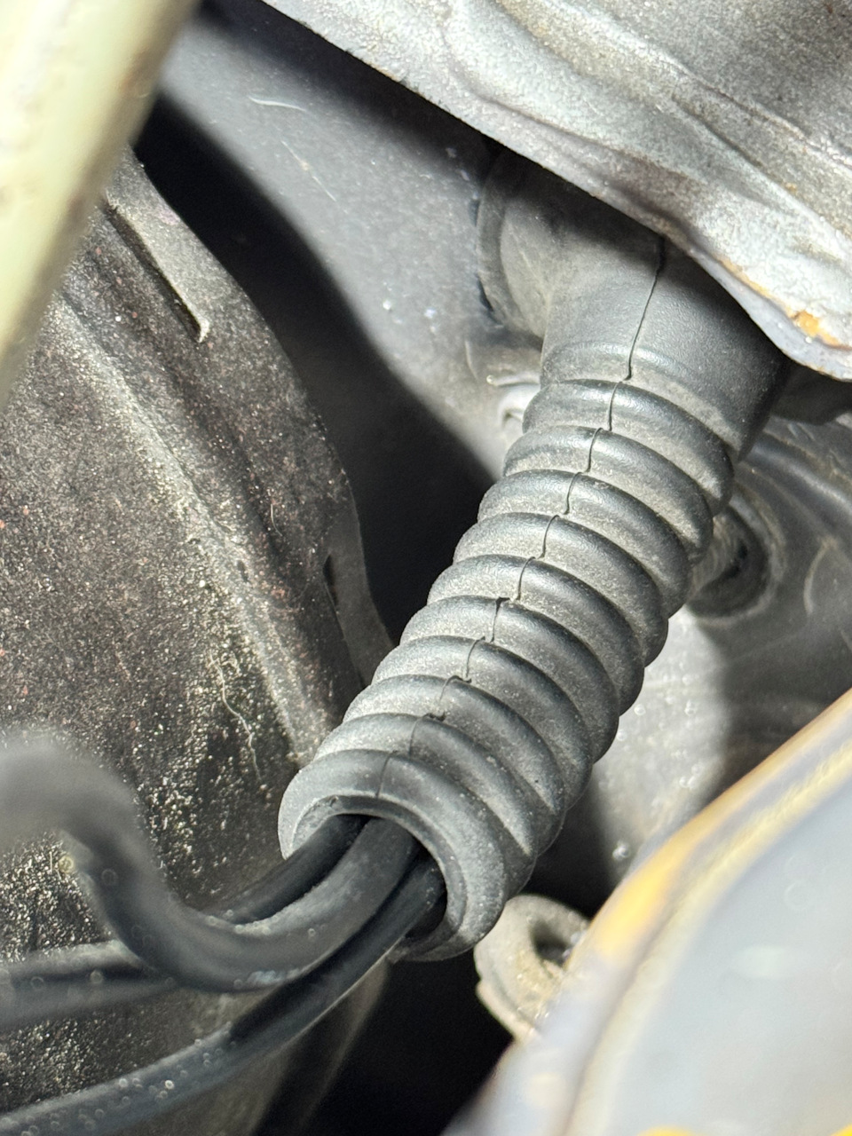 Фото в бортжурнале Nissan Micra (K11)
