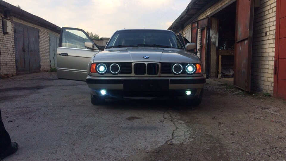 BMW 5 series Жмурка