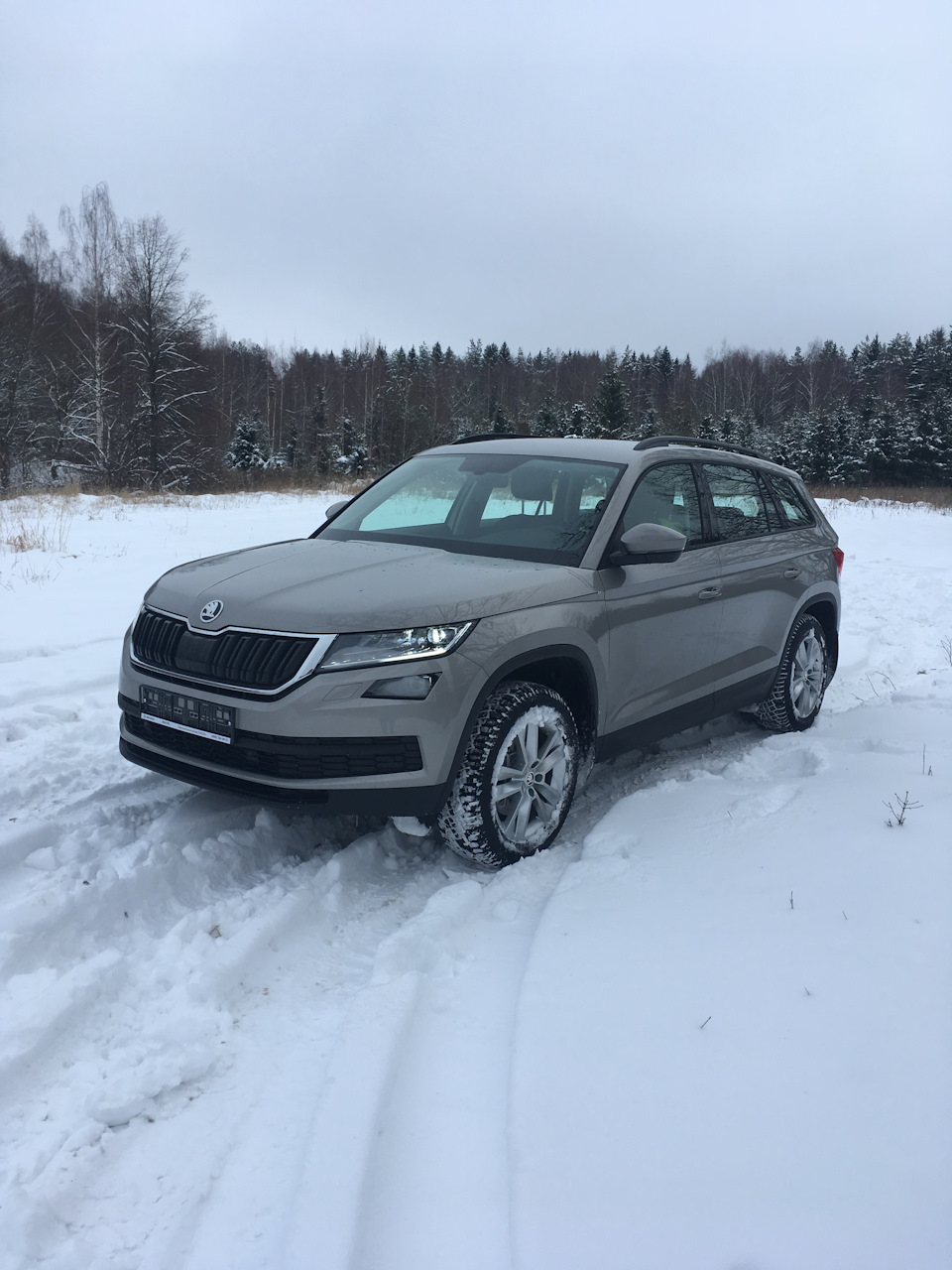 Фото в бортжурнале Skoda Kodiaq (1G)