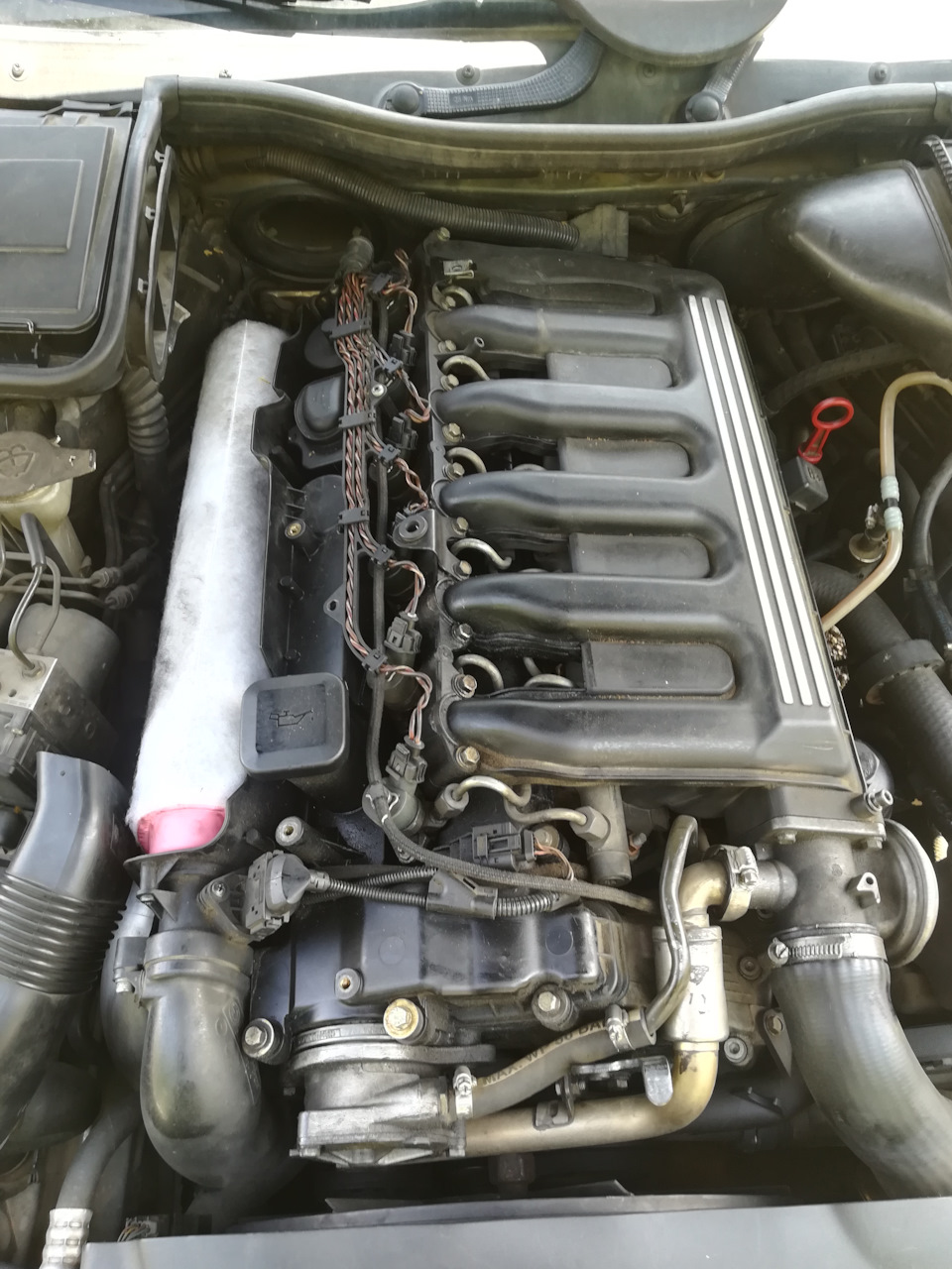 Фото в бортжурнале BMW 5 series (E39)