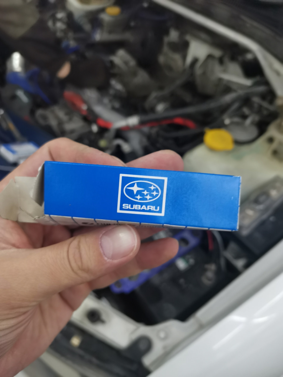 Фото в бортжурнале Subaru Forester (SG)