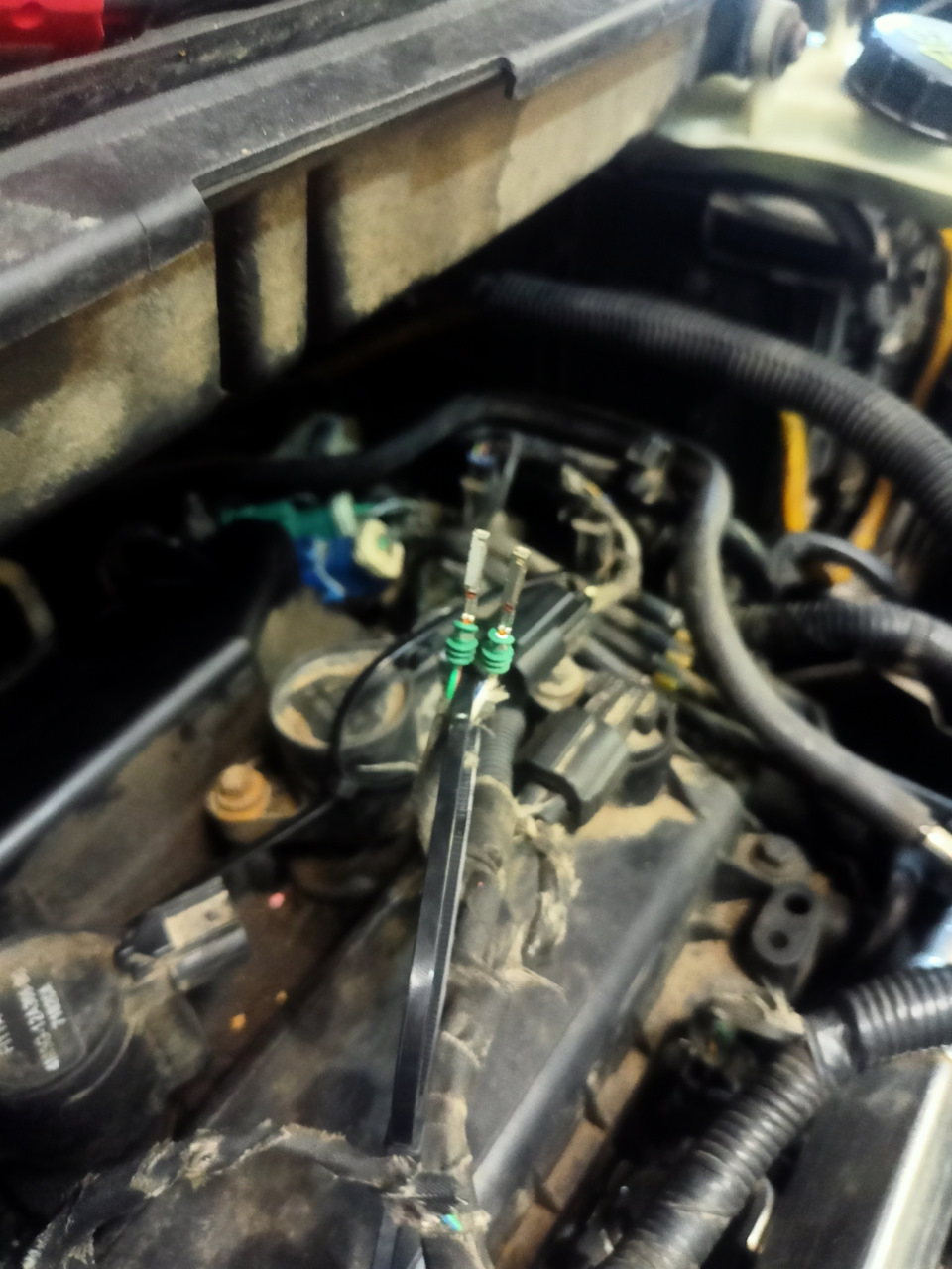Фото в бортжурнале Ford C-Max I