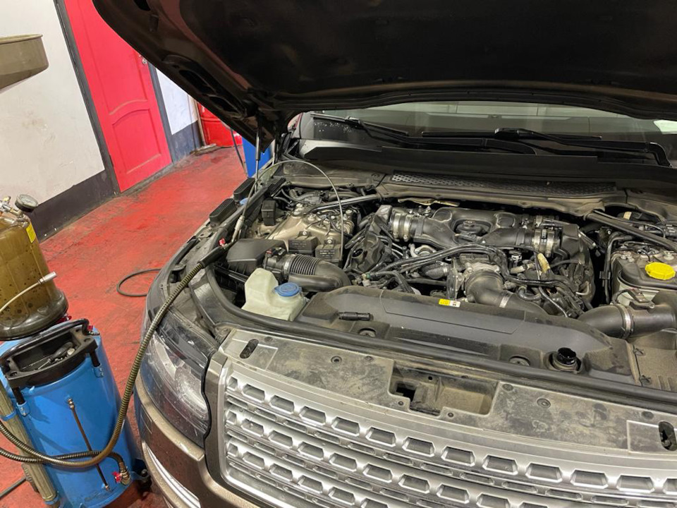 Фото в бортжурнале Land Rover Range Rover (4G)