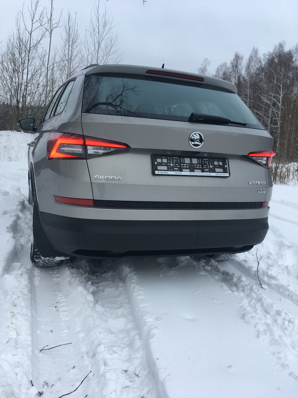 Фото в бортжурнале Skoda Kodiaq (1G)