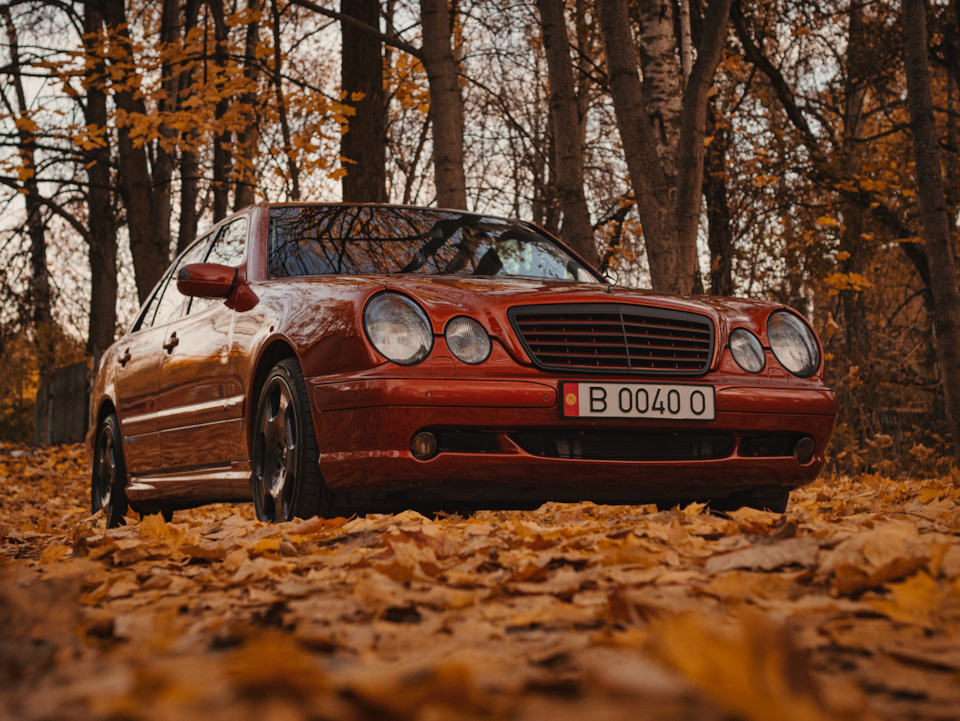 Фото в бортжурнале Mercedes-Benz E-Class (W210)